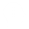 icon1